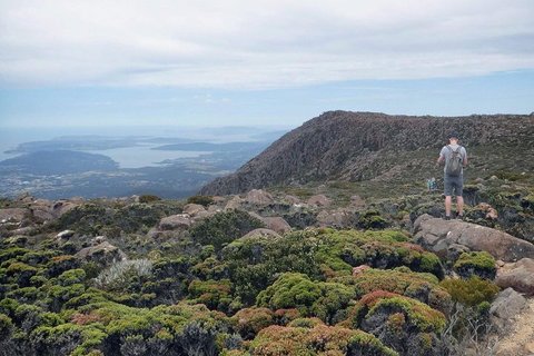 Kunanyi / Mt Wellington Explorer Bus - 2 Hour Return Tour - Accommodation Brunswick Heads 3