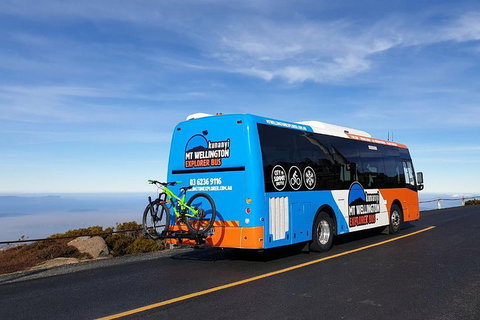 Kunanyi / Mt Wellington Explorer Bus - 2 Hour Return Tour - Accommodation Brunswick Heads 4