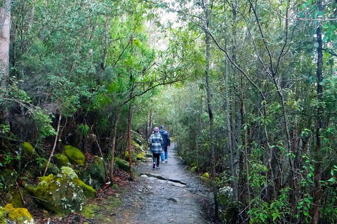 Kunanyi/Mt Wellington Tour & Hobart Hop-On Hop-Off Bus - Accommodation Brunswick Heads 1