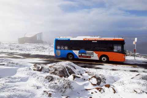 Kunanyi/Mt Wellington Tour & Hobart Hop-On Hop-Off Bus - Accommodation Brunswick Heads 2