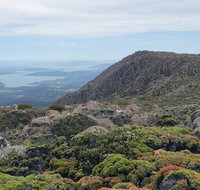 kunanyi/Mt Wellington Explorer Bus - One Way Tour - Accommodation Brunswick Heads