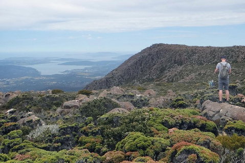 Kunanyi/Mt Wellington Explorer Bus - One Way Tour - Accommodation Brunswick Heads 0