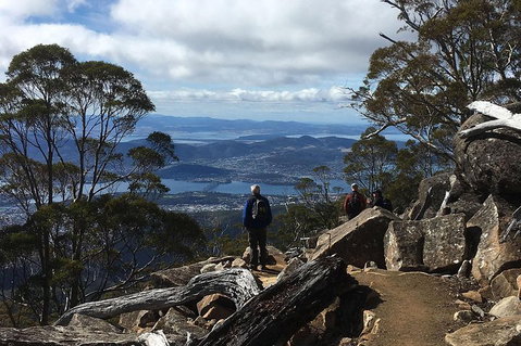 Kunanyi/Mt Wellington Explorer Bus - One Way Tour - Accommodation Brunswick Heads 2