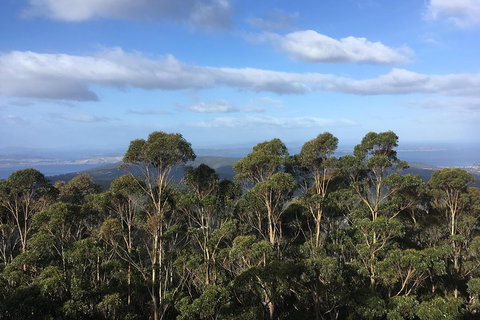 Kunanyi/Mt Wellington Explorer Bus - One Way Tour - Accommodation Brunswick Heads 5