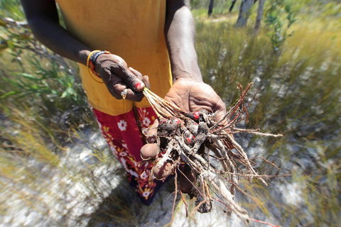 Gay-Wu Woman's 5 Day Yolngu Homeland Tour - Accommodation Brunswick Heads 0