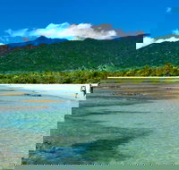 5-Day Best of Cairns with Daintree Kuranda and Great Barrier Reef - Accommodation Brunswick Heads