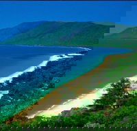Cairns Reef and Rainforest Combo Daintree Rainforest and the Great Barrier Reef - Accommodation Brunswick Heads