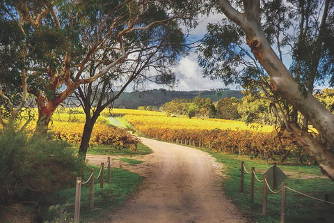 McLaren Vale Winery Small Group Tour With Wine Tasting And Lunch - Accommodation Brunswick Heads 1