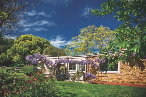 McLaren Vale Winery Small Group Tour With Wine Tasting And Lunch - Accommodation Brunswick Heads 2