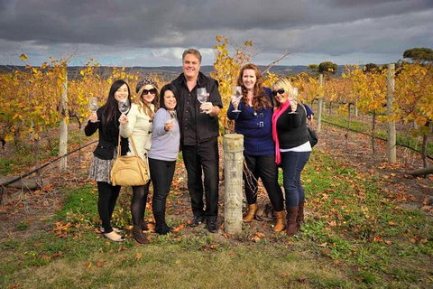 McLaren Vale Winery Small Group Tour With Wine Tasting And Lunch - Accommodation Brunswick Heads 3