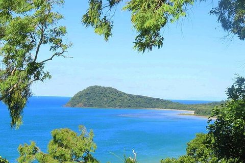 Full Day Tour In The Daintree - Accommodation Brunswick Heads 1