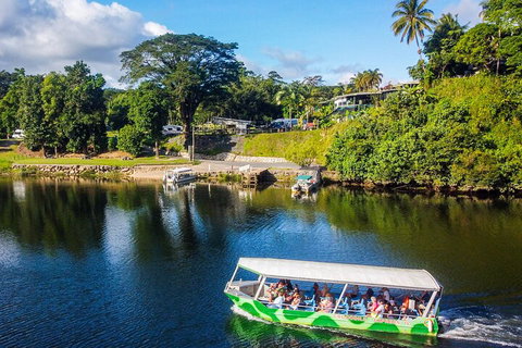 Full Day Tour In The Daintree - Accommodation Brunswick Heads 2