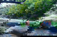 Afternoon Half-Day Daintree Rainforest and River Tour, Port Douglas