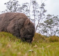 3-Day Cradle Mountain Photography Workshop - Accommodation Brunswick Heads