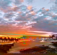 1 Hour Broome Sunset Camel Tour - Accommodation Brunswick Heads