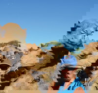 Broome Pre-sunset Camel Tour 30 minutes - Accommodation Brunswick Heads