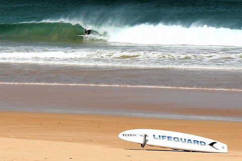 Half Day Manly Beach And More - Accommodation Brunswick Heads 5