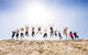 7-Day Best Of Tasmania Adventure Experience From Hobart (flexible Ticket) - thumb 4