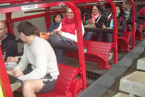 Full-Day Private Blue Mountains Tour With River Cruise - Accommodation Brunswick Heads 0