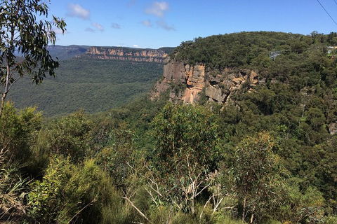 Full-Day Private Blue Mountains Tour With River Cruise - Accommodation Brunswick Heads 1