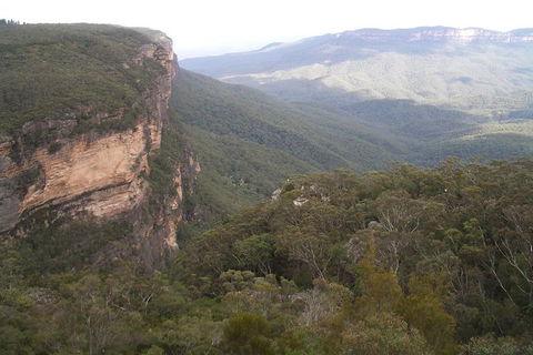 Full-Day Private Blue Mountains Tour With River Cruise - Accommodation Brunswick Heads 3