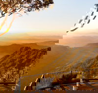 O'Reilly's  Lamington National Park incl. Alpaca Farm  Vineyard - Accommodation Brunswick Heads