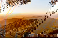 O'Reilly's  Lamington National Park incl. Alpaca Farm  Vineyard, Surfers Paradise