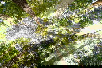 Fraser Island 4WD Tour from Noosa