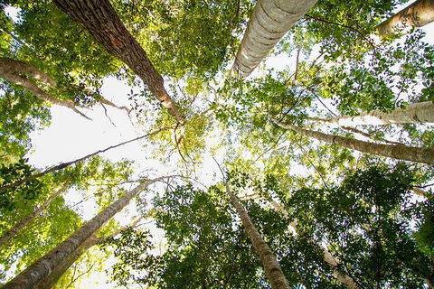 Fraser Island 4WD Tour From Noosa - Accommodation Brunswick Heads 0