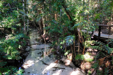 Fraser Island 4WD Tour From Rainbow Beach - Accommodation Brunswick Heads 0