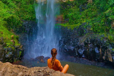 Rainforest & Waterfalls Extravaganza - Accommodation Brunswick Heads 2