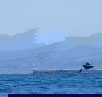 The Byron Bay Sea Kayak Tour - Accommodation Brunswick Heads