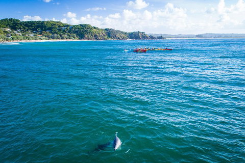 The Byron Bay Sea Kayak Tour - Accommodation Brunswick Heads 2