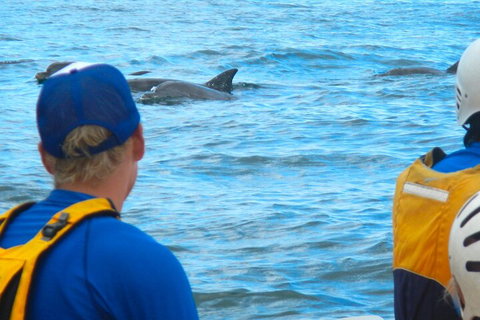 The Byron Bay Sea Kayak Tour - Accommodation Brunswick Heads 4
