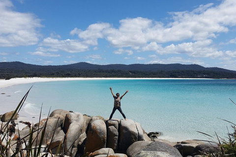 Tasmania 4 Day East Coast + Launceston - Accommodation Brunswick Heads 1