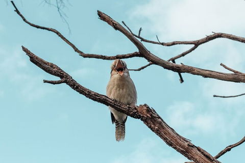 Highlights Of Kings Park - Accommodation Brunswick Heads 0