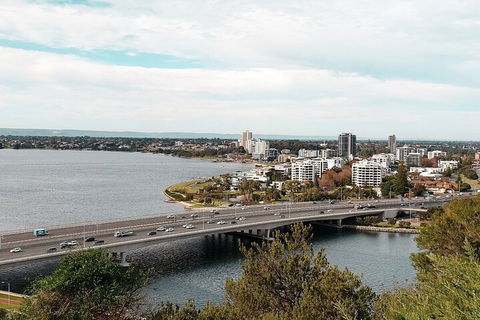 Highlights Of Kings Park - Accommodation Brunswick Heads 2