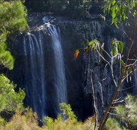 Byron Bay Hinterland Tour Including Rainforest Walk to Minyon Falls - Accommodation Brunswick Heads