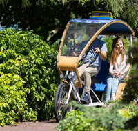 Adelaide 90-Minute Pedicab Tour Scenic Green  River Experience - Accommodation Brunswick Heads