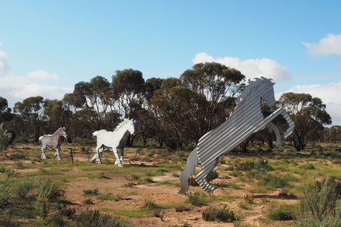 Wave Rock, Wild Flowers And Astro Photography - Accommodation Brunswick Heads 5