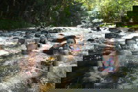 Daintree Rainforest Cape Tribulation Mossman Gorge Small-Group Day Tour, Port Douglas