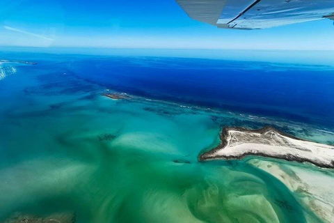 Wet Season Incredible Islands Tour - Horizontal Falls & Cygnet Bay Pearl Farm - Accommodation Brunswick Heads 4