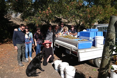 Valleys Of Vino Tour - Accommodation Brunswick Heads 1