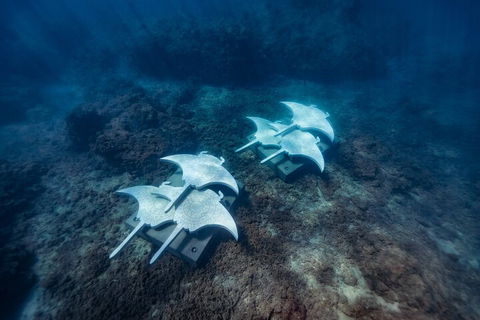 Premium Private Charter - Accommodation Brunswick Heads 3