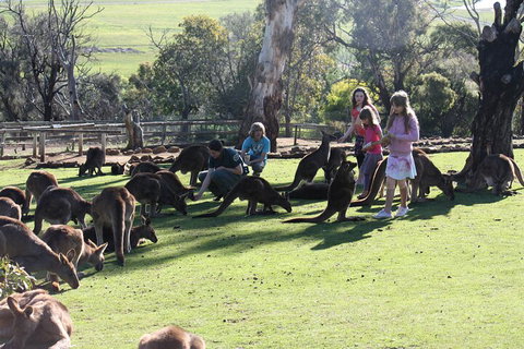The Port Arthur MEGA Day Trip From Hobart - Accommodation Brunswick Heads 5