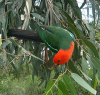 3-Day Private Adelaide to Melbourne tour - Accommodation Brunswick Heads