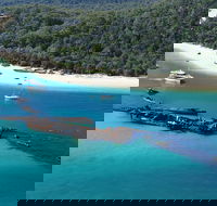All Inclusive Tangalooma Wrecks Cruise Tour From Gold Coast - Accommodation Brunswick Heads