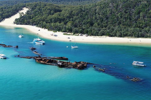 All Inclusive Tangalooma Wrecks Cruise Tour From Gold Coast - Accommodation Brunswick Heads 0
