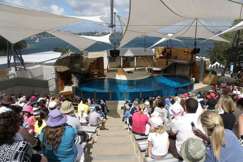 Sydney Taronga Zoo General Entry Ticket - Accommodation Brunswick Heads 5