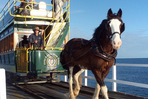 Full-Day Tour In South Australia Highlights - Accommodation Brunswick Heads 1